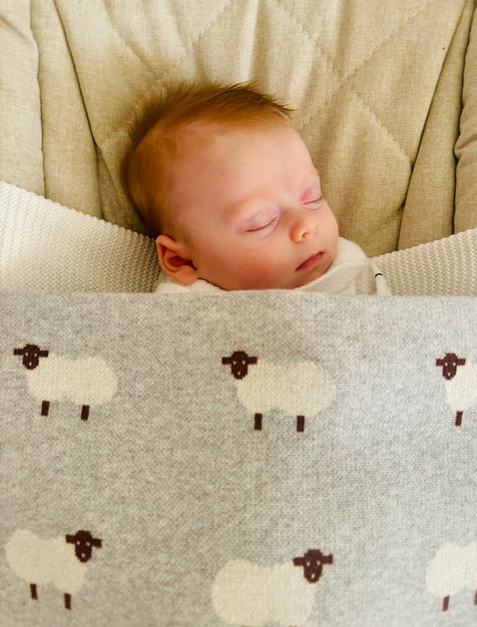 Grey Sheep Baby Blanket