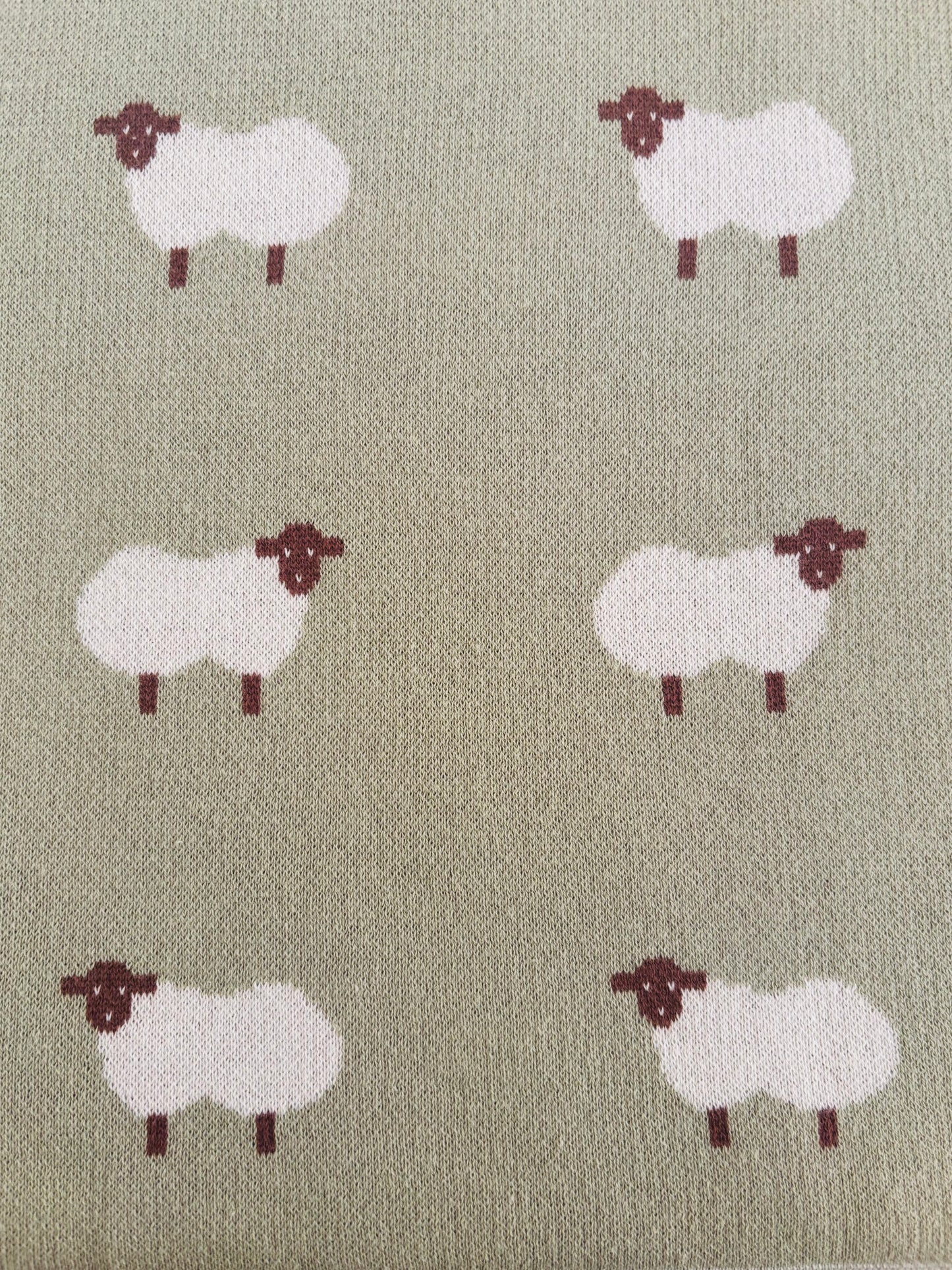 Green Sheep Baby Blanket